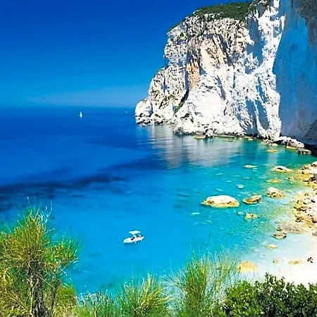 Bay View Paxos